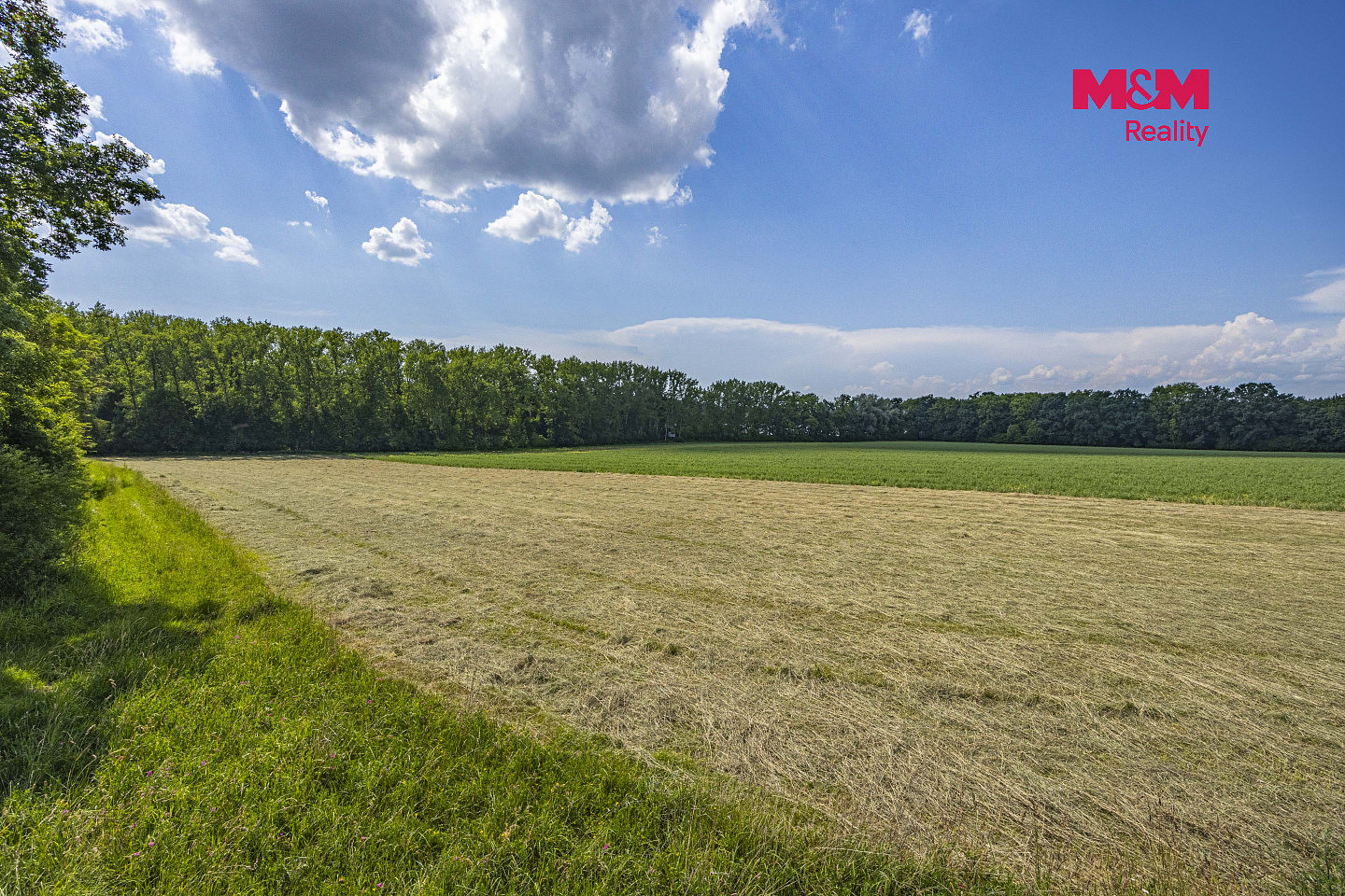 Prodej lesa 11 971 m² – fotografie 3