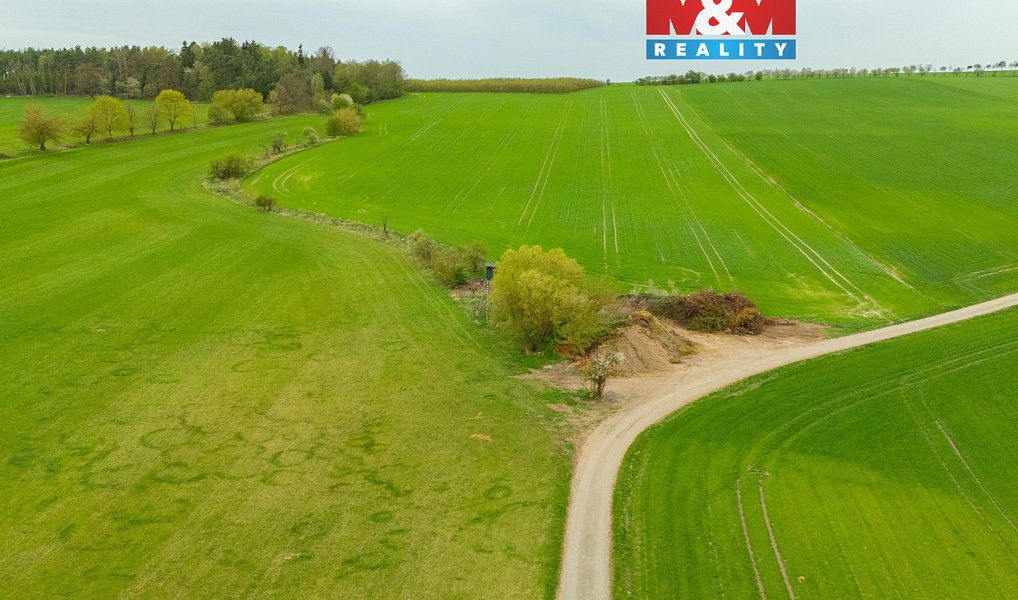 Prodej louky 730 m², Olešnice – náhled fotky 2