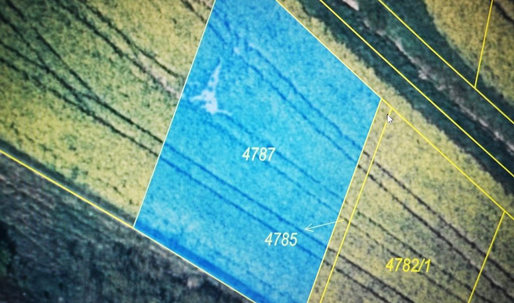 Prodej pole 787 m², Přehýšov – náhled fotky 2