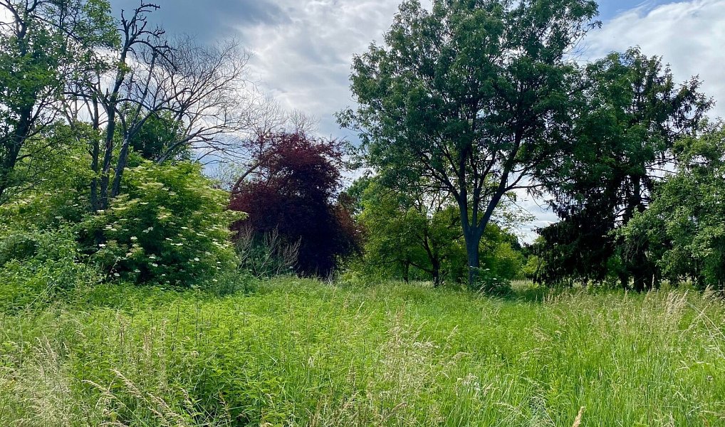 Prodej stavebního pozemku 2 450 m², Honětice – náhled fotky 8