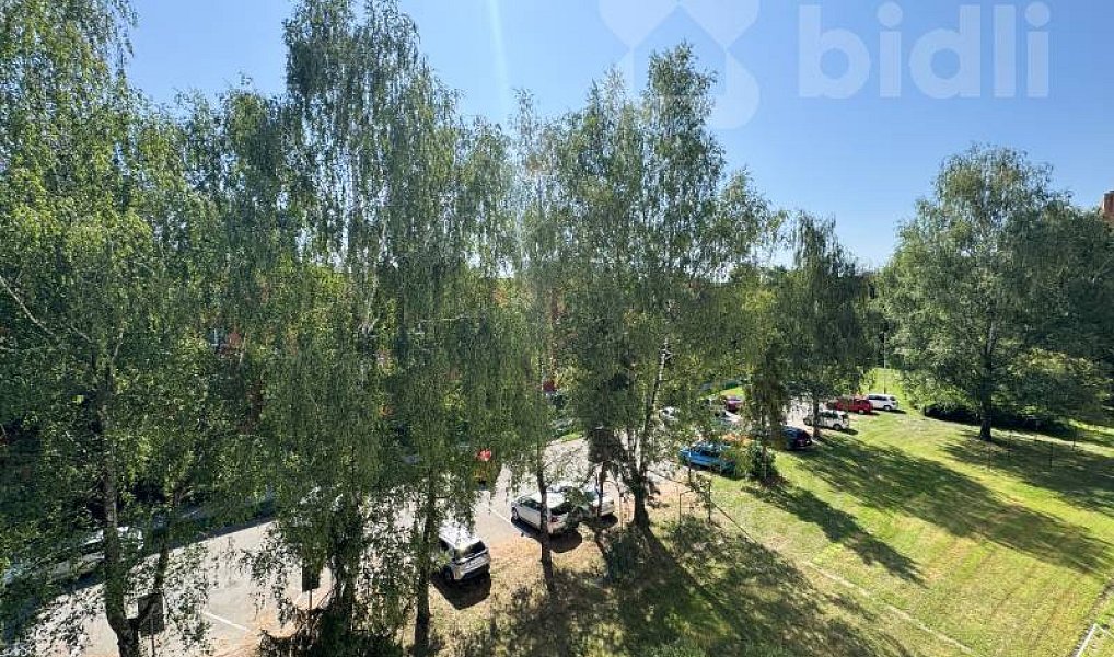 Prodej bytu 2+1 55 m², Ostrava – náhled fotky 16