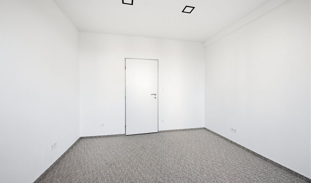 Pronájem bytu 2+1 52 m², Plzeň – náhled fotky 4