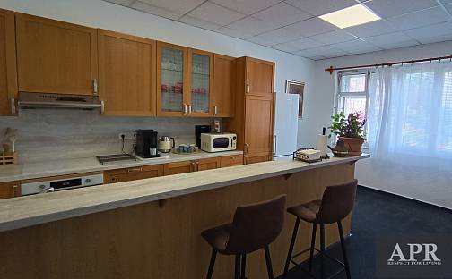 Pronájem bytu 1+kk 25 m², Mariánské nám., Uherský Brod, okres Uherské Hradiště