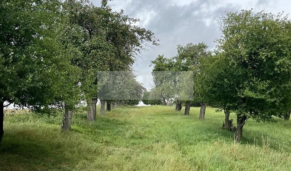 Prodej pozemku 11 900 m², Velké Všelisy – náhled fotky 18