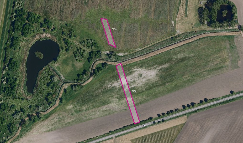 Prodej pozemku, 5778 m², Břeclav, Starovičky