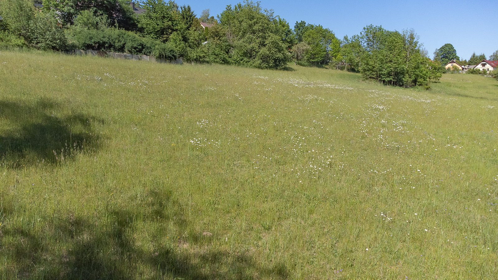 Fotka 14 z 16