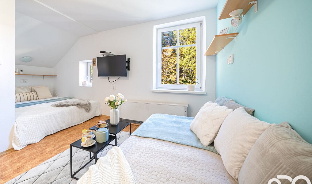 Prodej bytu 1+kk 29 m², Kořenov – náhled fotky 3