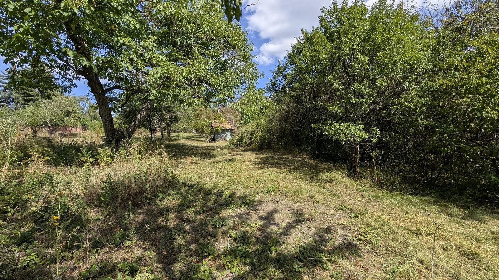 Prodej zahrady 463 m² – fotografie 2