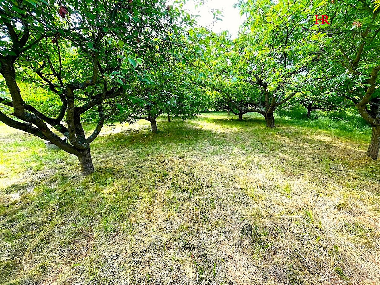 Prodej stavebního pozemku 620 m² – fotografie 4