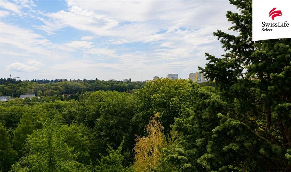 Prodej stavebního pozemku 1 165 m², Plzeň – náhled fotky 3