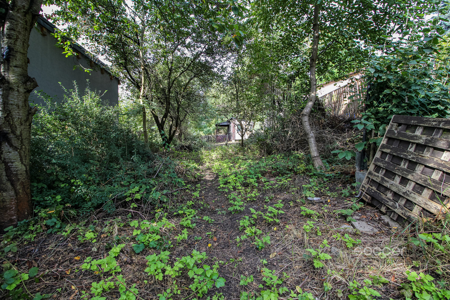 Prodej zahrady 644 m² – fotografie 5