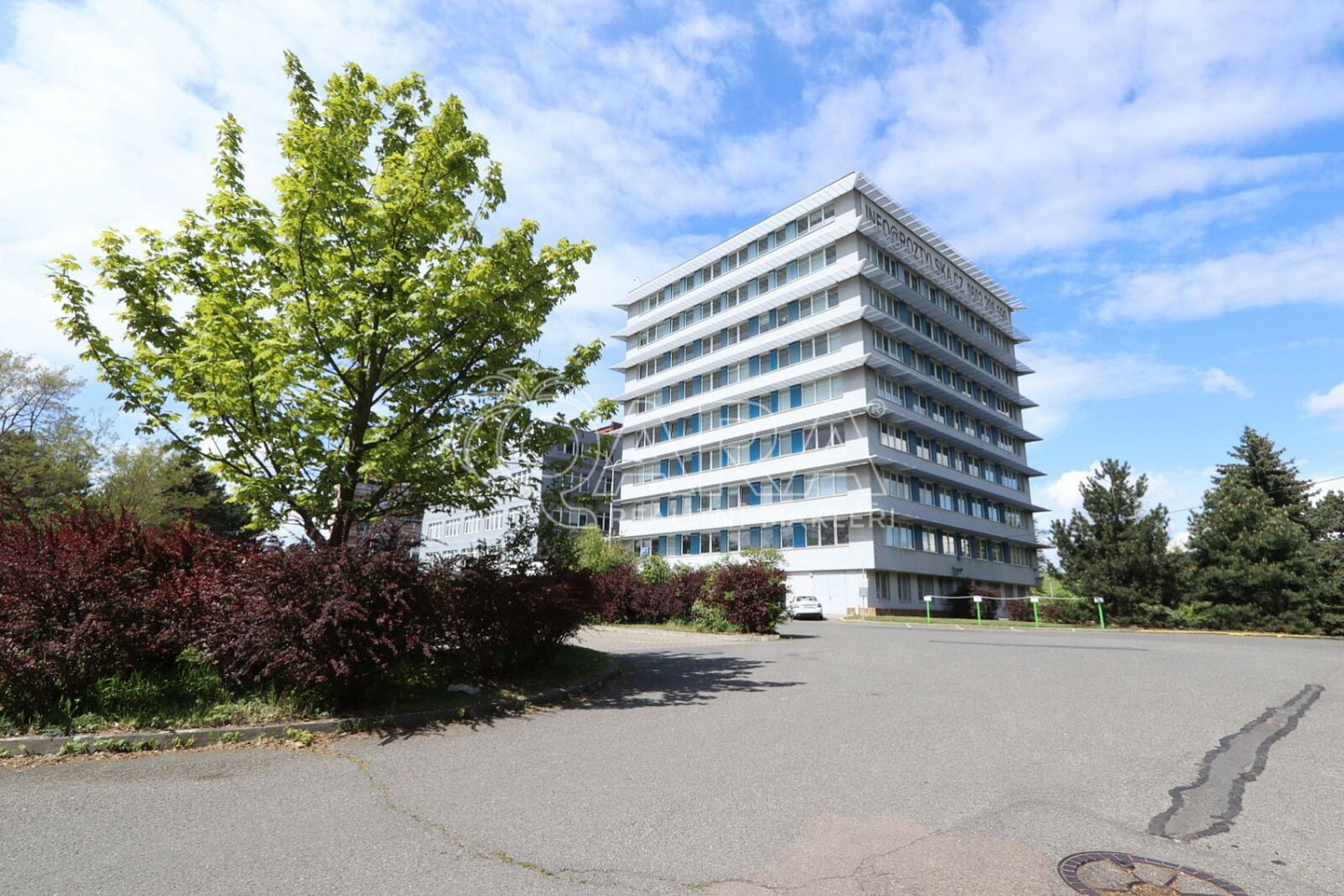 Pronájem kanceláře 185 m²