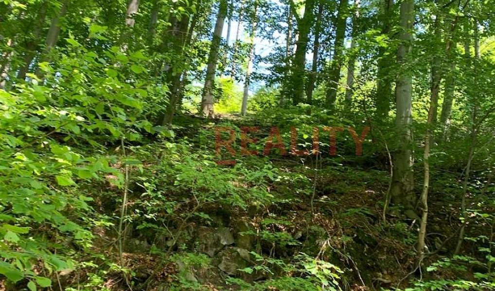 Prodej lesa 102 000 m², Třinec – náhled fotky 3
