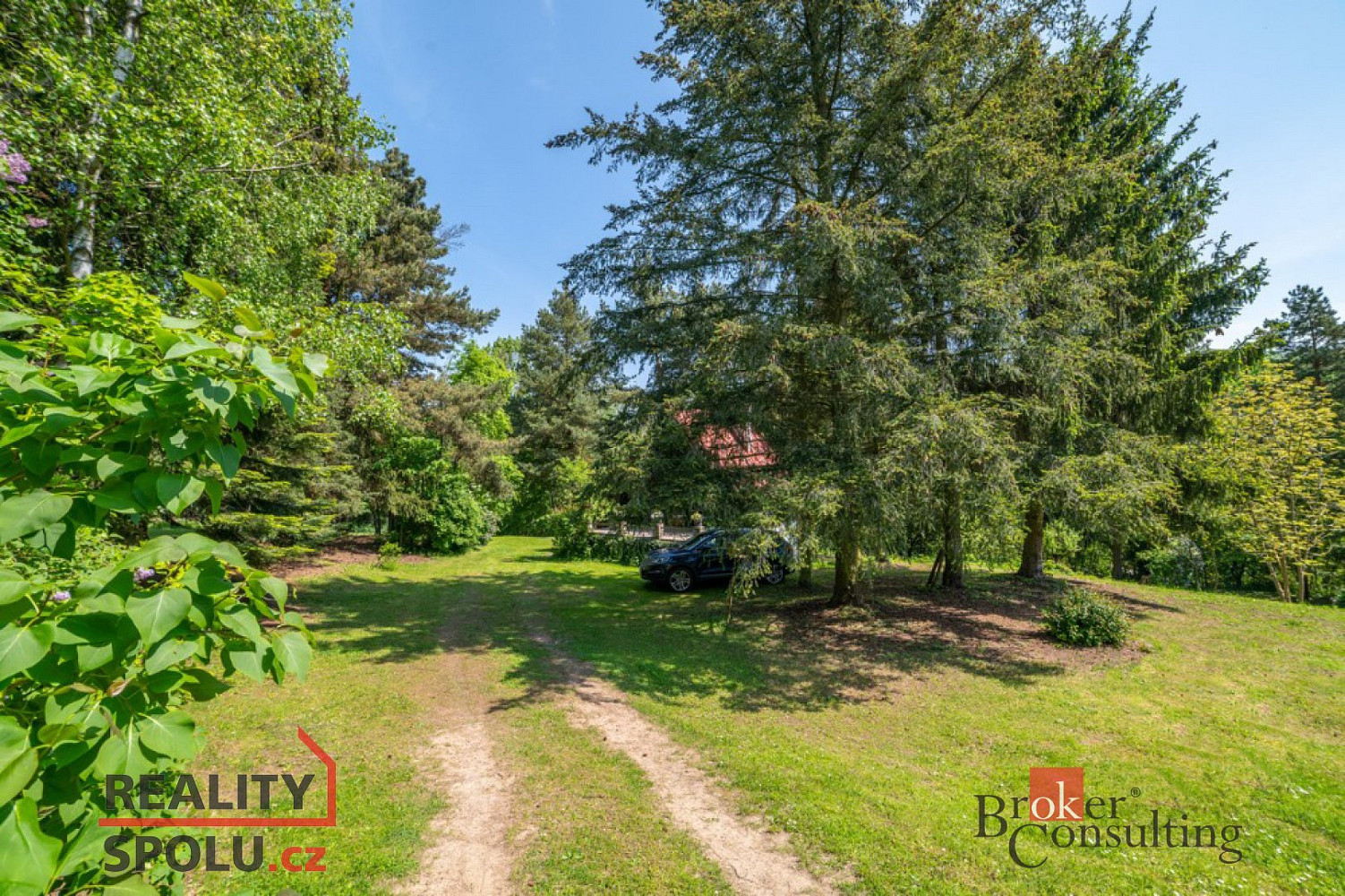 Prodej pozemku 4 878 m² – pohled 4