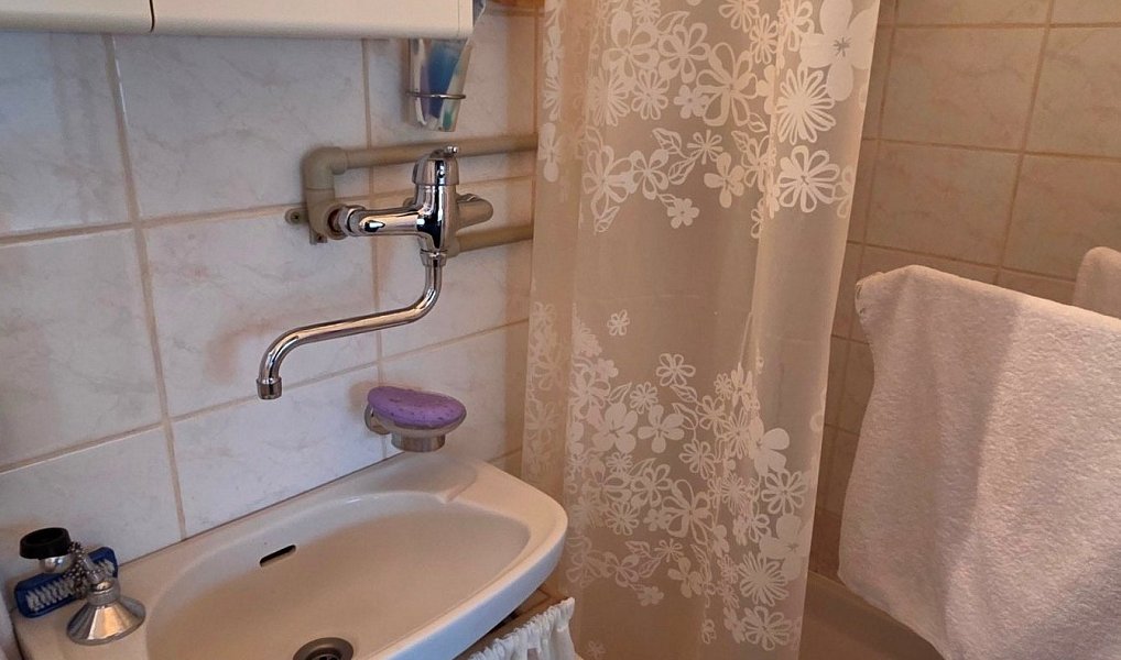 Prodej chaty/chalupy 58 m² s pozemkem 384 m², Nová Bystřice – náhled fotky 23
