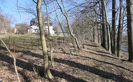 Prodej lesa 656 m², Raspenava, okres Liberec