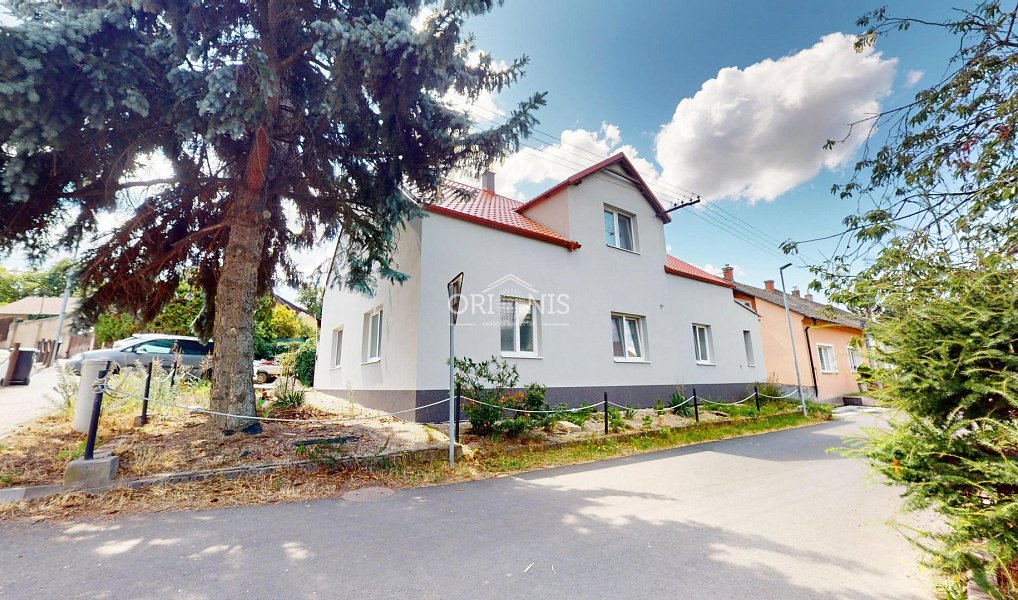 Prodej domu 266 m² s pozemkem 751 m², Braňany – náhled fotky 9