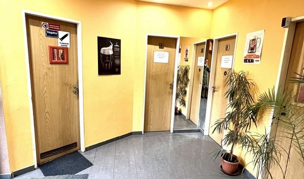 Prodej restaurace 688 m², Luka nad Jihlavou – náhled fotky 25