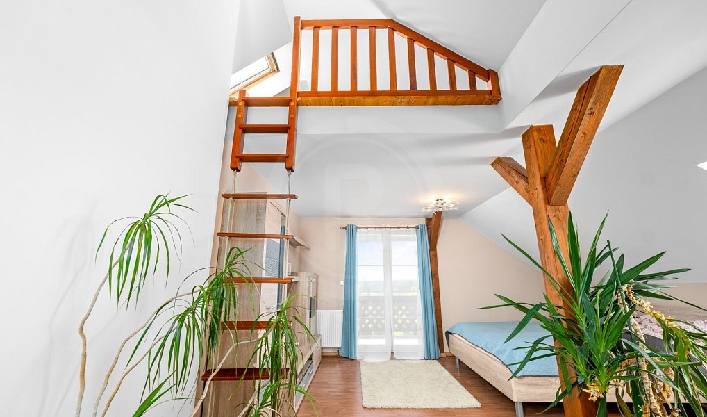 Prodej domu 340 m² s pozemkem 1 147 m², Tábor – náhled fotky 36