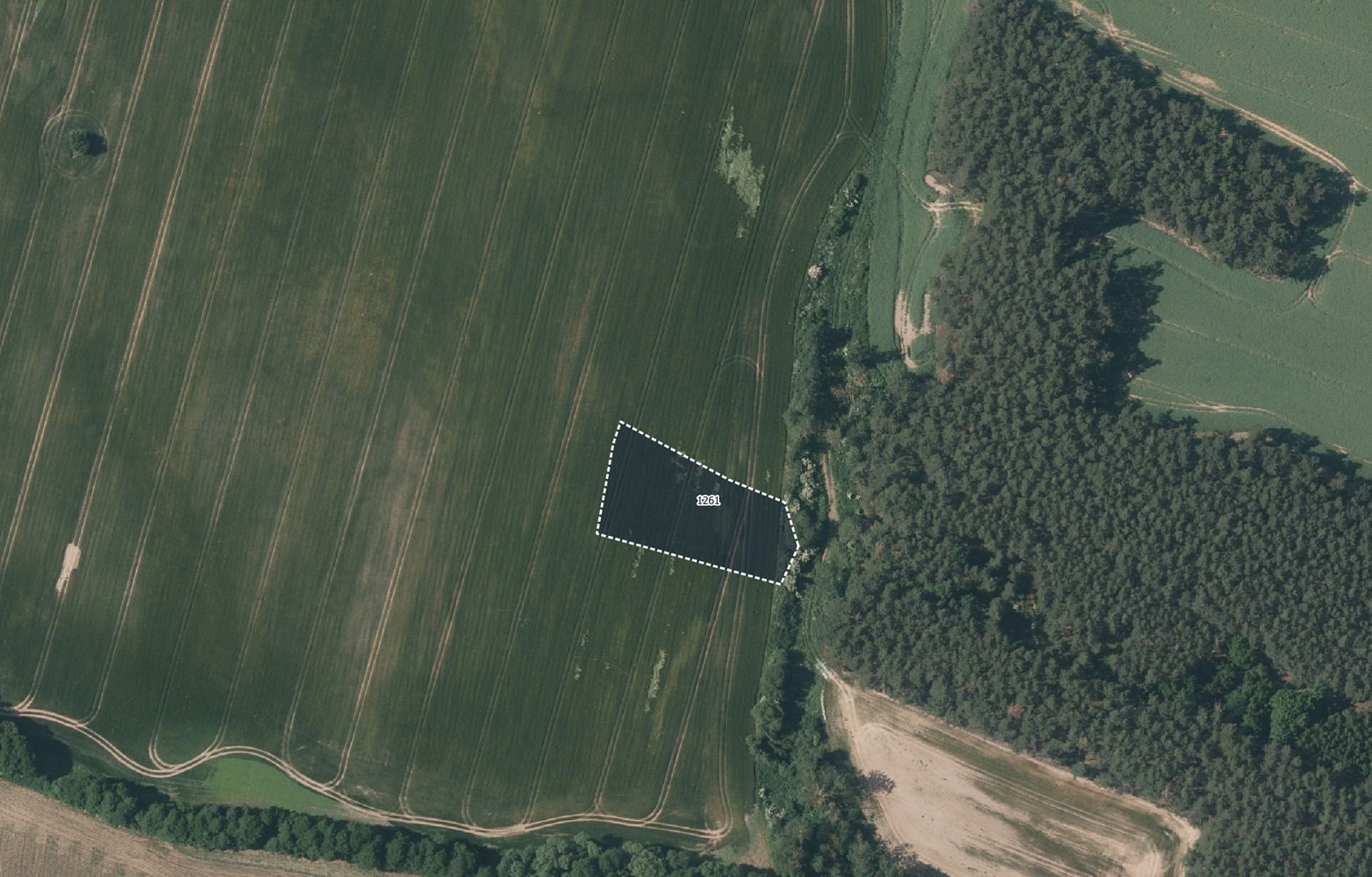 Prodej pole 15 472 m² — photo 3