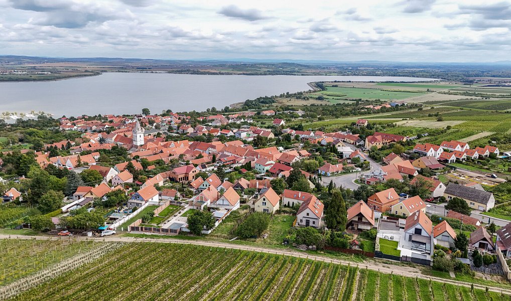 Vinný sklep v Pavlově se studií na nástavbu, Pavlov – náhled fotky 14