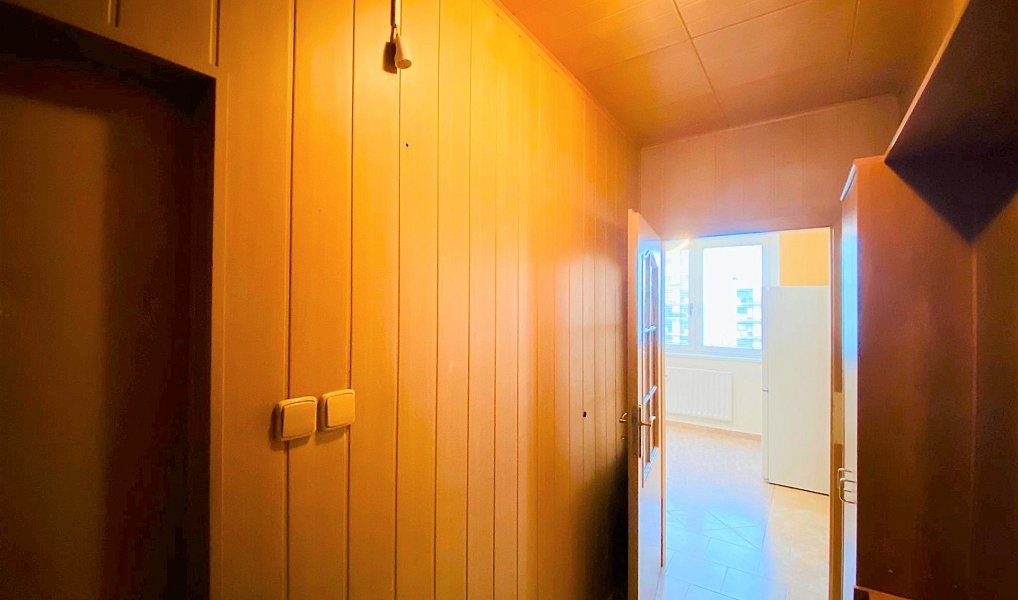 Pronájem bytu 1+1 45 m², Brno – náhled fotky 9