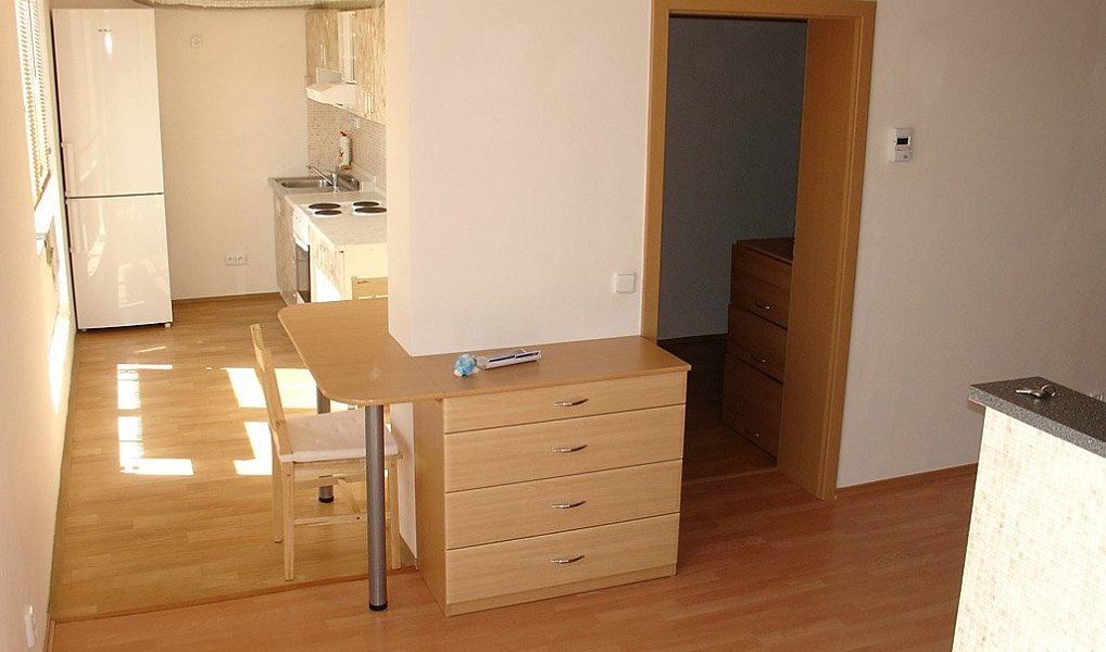 Prodej bytu 1+kk 41 m², Brno – náhled fotky 3