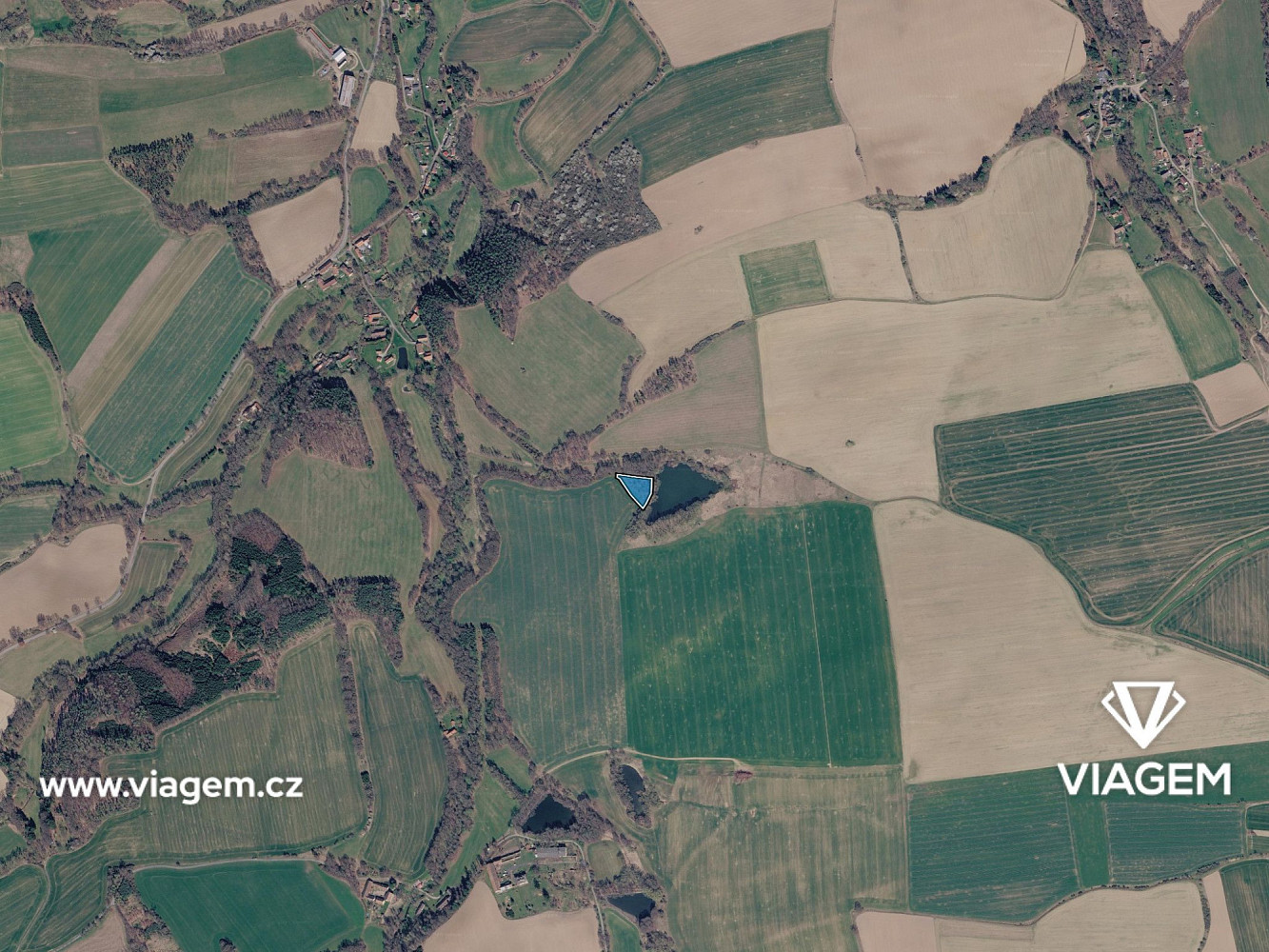 Prodej pole 1 336 m² – fotografie 3