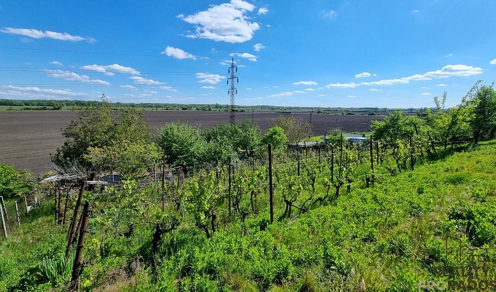 Prodej chaty/chalupy 31 m² s pozemkem 1 107 m², Lužice – náhled fotky 6