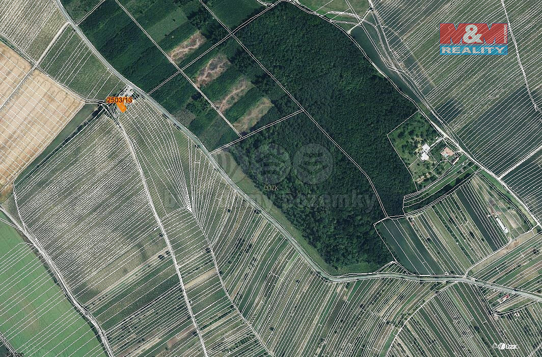 Prodej pole 300 m² – fotografie 4