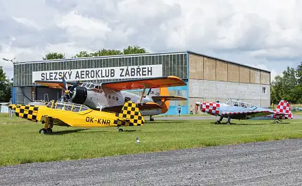 Prodej komerčního pozemku 8 872 m², Dolní Benešov - Zábřeh, okres Opava