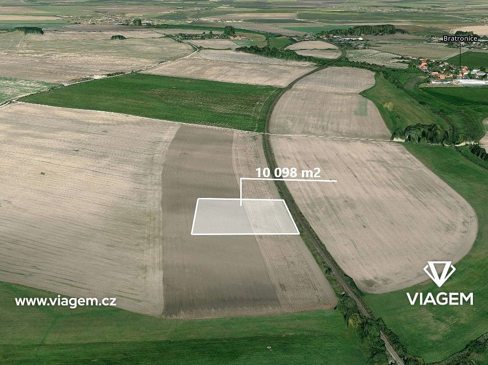 Prodej pole 5 890 m² – fotografie 4