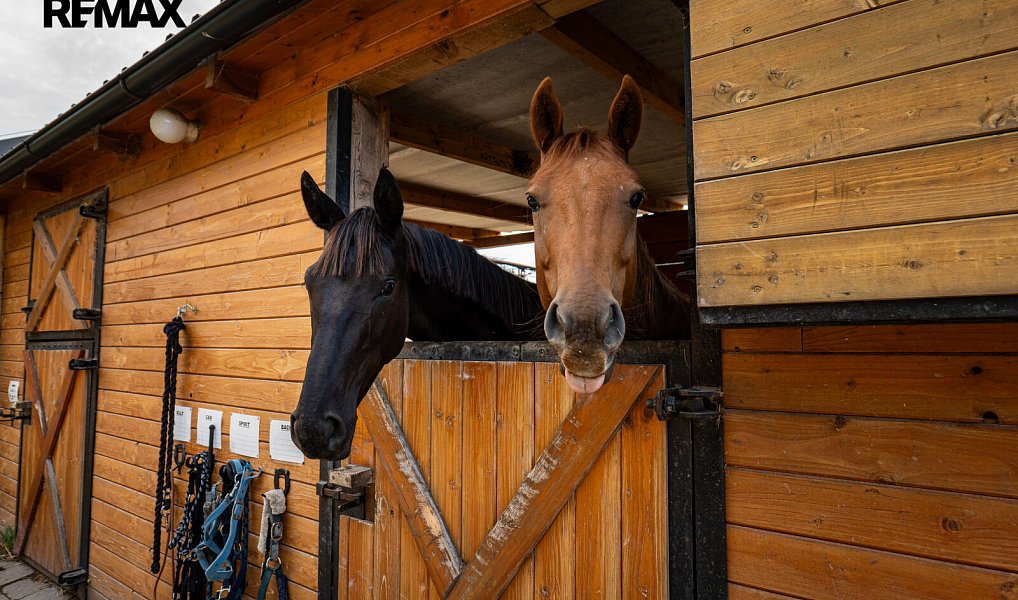 Prodej zemědělského objektu 2 400 m², Baška – náhled fotky 27