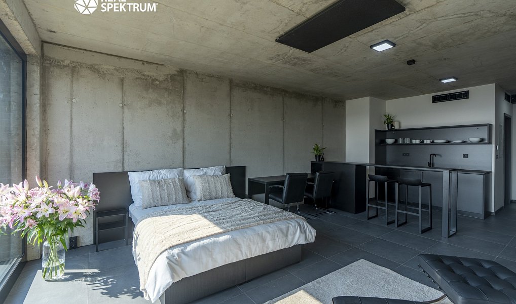 Pronájem bytu 1+kk 35 m², Brno – náhled fotky 2