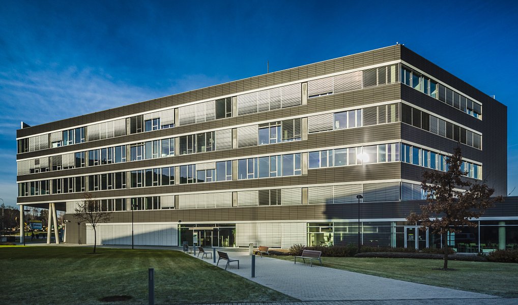 Pronájem kanceláře 500 m², Praha – náhled fotky 8