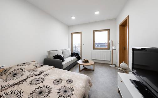 Pronájem bytu 1+1 38 m², Radyňská, Plzeň - Východní Předměstí
