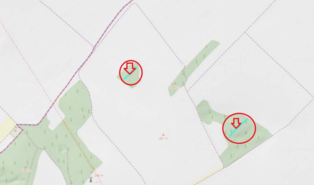 Prodej lesa 1 312 m², Skalice – náhled fotky 3