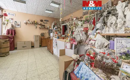 Prodej obchodních prostor 51 m², Písečná, Chomutov