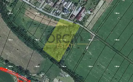 Prodej lesa 4 595 m², Stařechovice, okres Prostějov