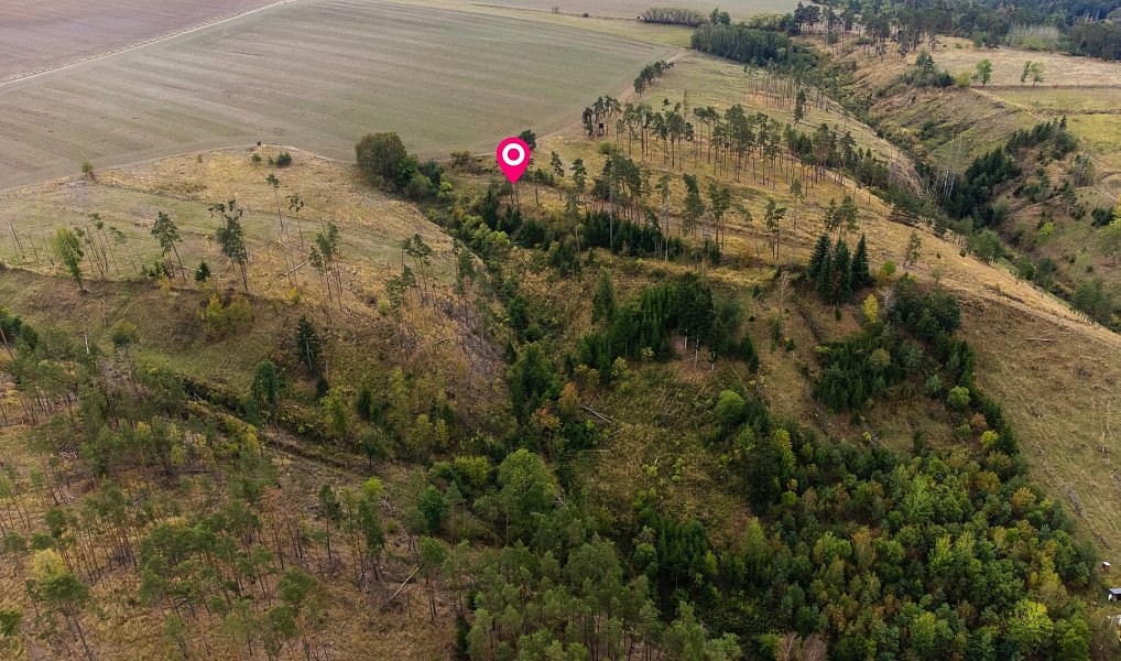 Prodej lesa 15 246 m², Vladislav – náhled fotky 3