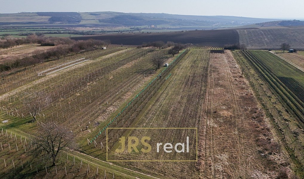 Prodej chaty/chalupy 16 m² s pozemkem 4 065 m², Brumovice – náhled fotky 5