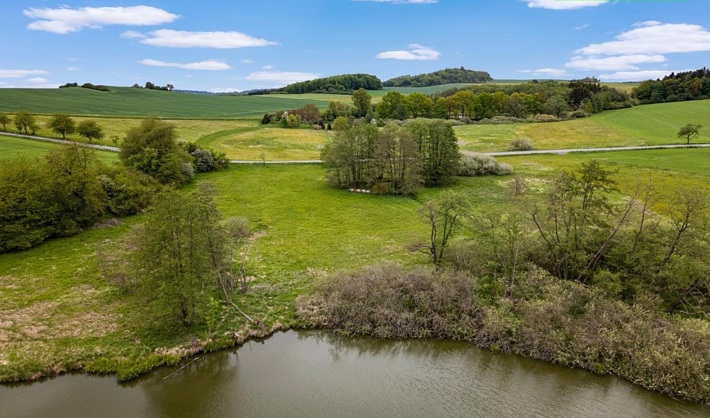 Prodej louky 5 250 m², Mladý Smolivec – náhled fotky 6