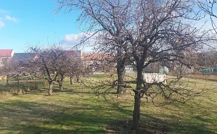 Prodej zahrady 1 080 m², Lidická, Olomouc - Nemilany