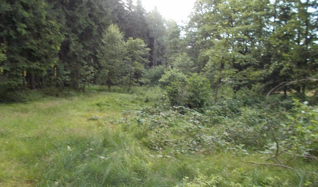 Prodej louky 3 266 m², Velký Šenov – náhled fotky 8