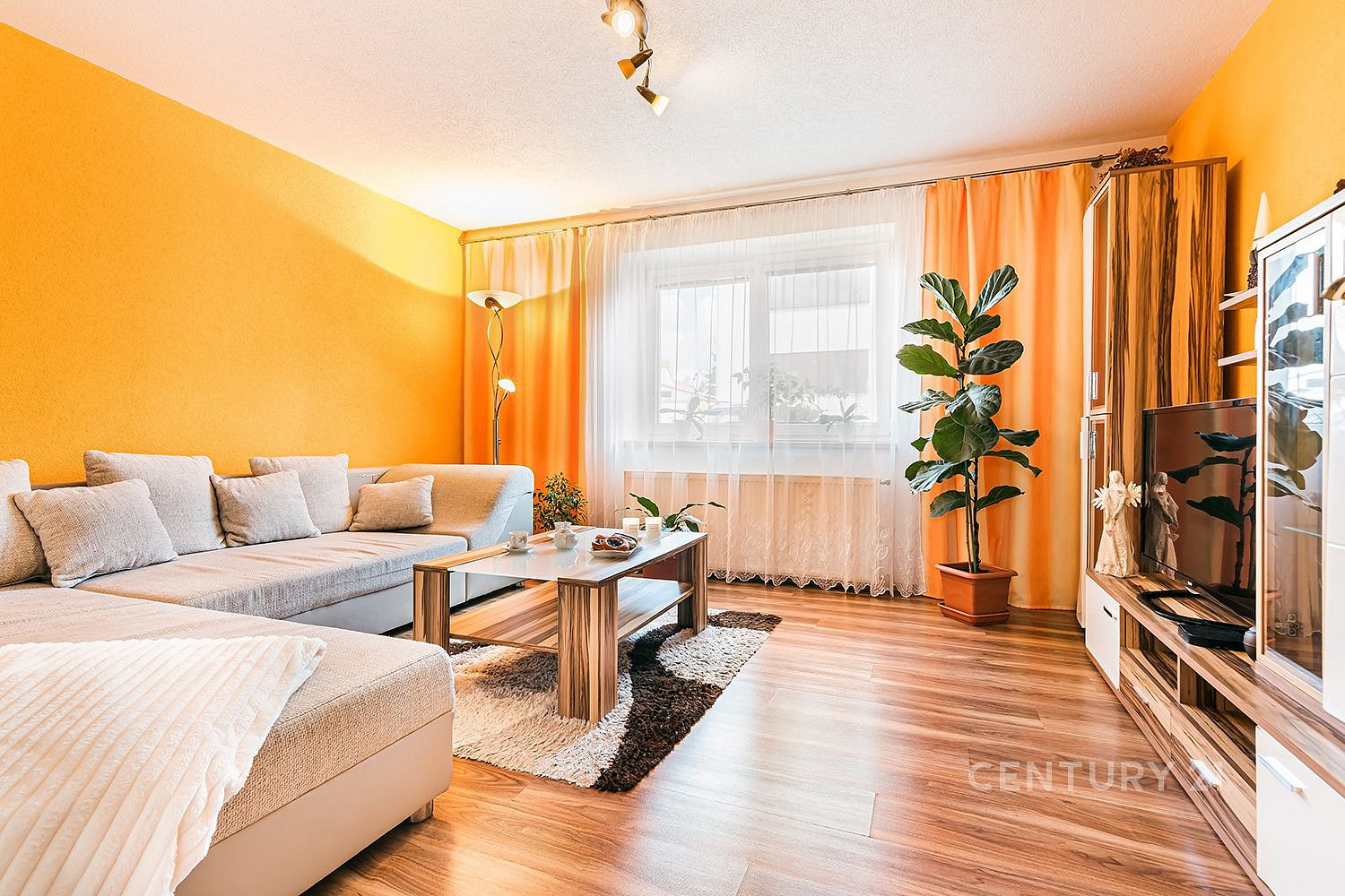 Prodej domu 197 m² s pozemkem 319 m² – fotografie 4