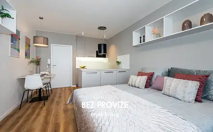 Pronájem bytu 1+kk 34 m², Studentská, Brno - Bohunice
