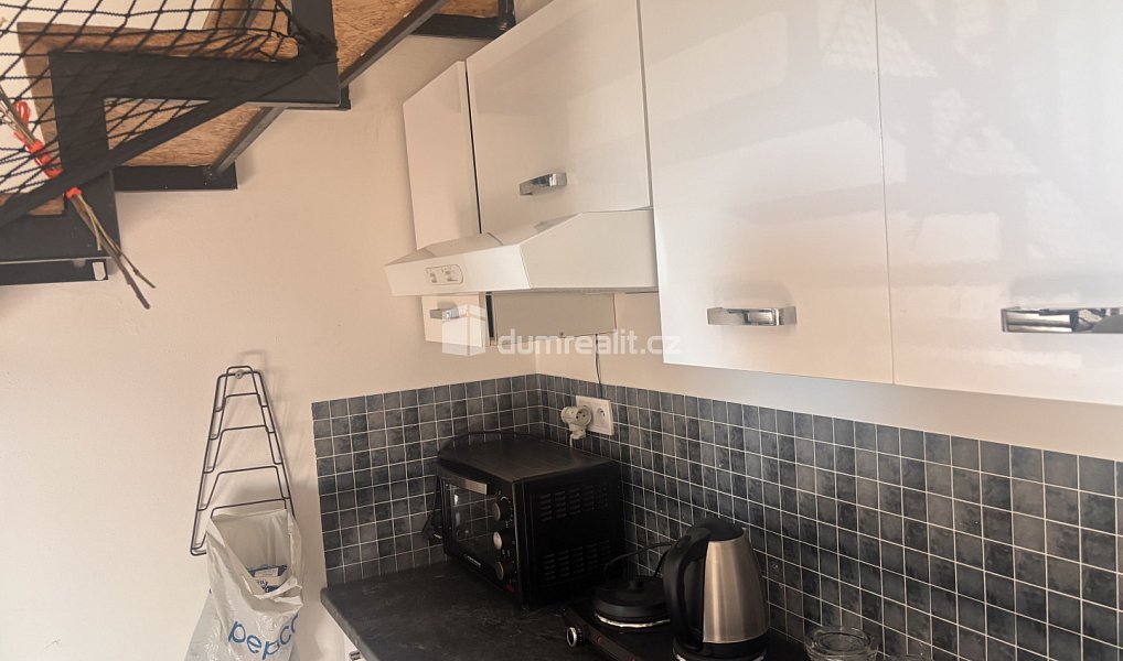 Pronájem bytu 5+kk 14 m², Praha – náhled fotky 6