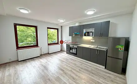 Pronájem bytu 1+kk 60 m², náměstí Míru, Litvínov - Horní Litvínov, okres Most