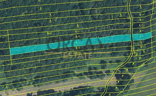 Prodej lesa 5 225 m², Hradčovice, okres Uherské Hradiště