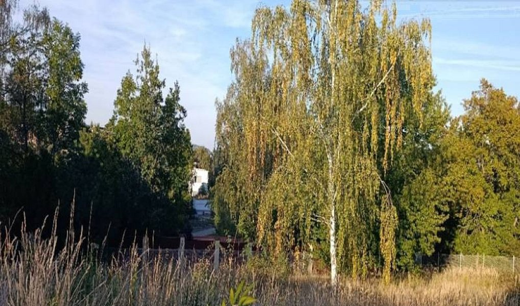 Prodej stavebního pozemku 1 014 m², Černošice – náhled fotky 4